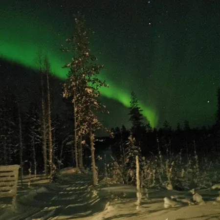 - Cozy In Lapland Σπίτι διακοπών Kauliranta