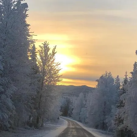 Loma-asunnot - Cozy In Lapland Kauliranta